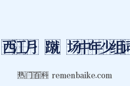 西江月·蹴踘场中年少组词是什么意思的图片